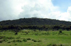 cerro de Cabeza Grande Revenga